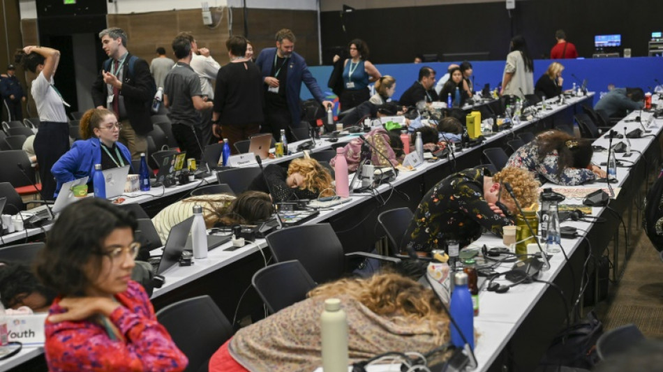 UN-Artenschutzkonferenz endet ohne Einigung zu Finanzierungsfragen