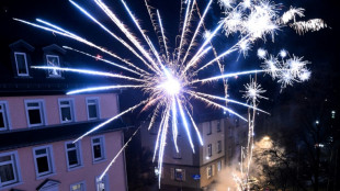 Angriff auf Polizistin in verungl&uuml;cktem Einsatzwagen in Berlin: Anklage erhoben
