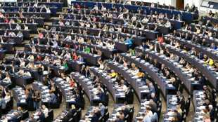 Bundeskabinett legt 9. Juni 2024 als Termin f&uuml;r Europawahl fest