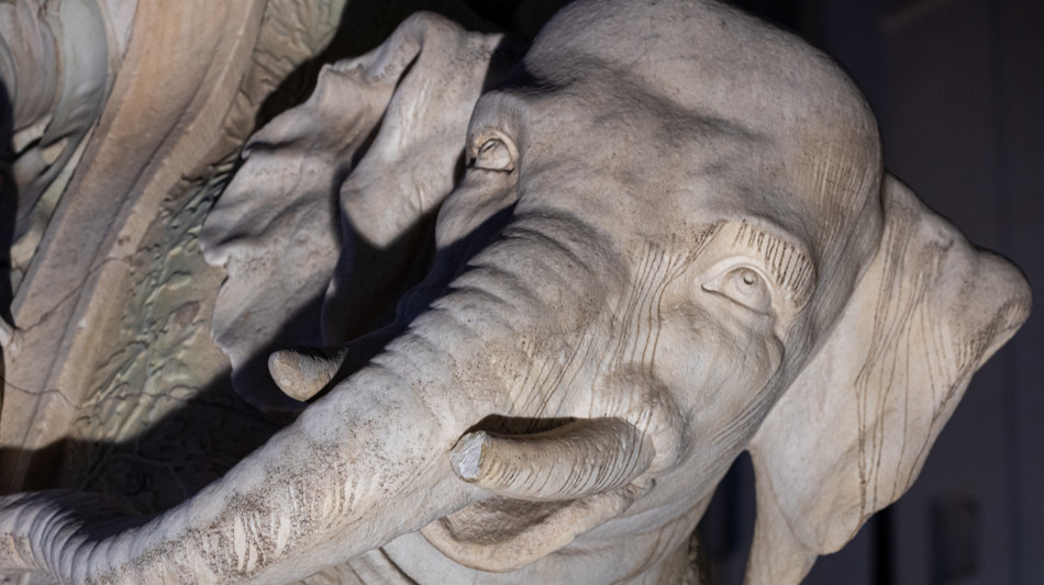 Danneggiata la statua dell'elefantino del Bernini a Roma, 'indegno sfregio'