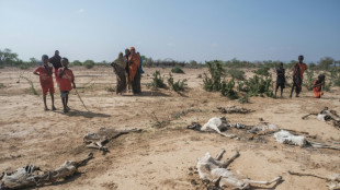 En Ethiopie, la pire s&eacute;cheresse "jamais v&eacute;cue" ravage les vies des nomades somali