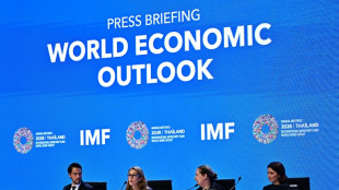 El FMI es moderadamente optimista sobre la econom&iacute;a mundial pese a la guerra en Oriente Medio